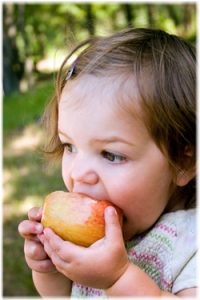 Toddler Eating an Apple